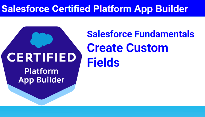 Salesforce Fundamentals : Create Custom Fields