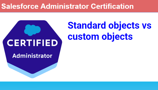Salesforce standard objects vs custom objects