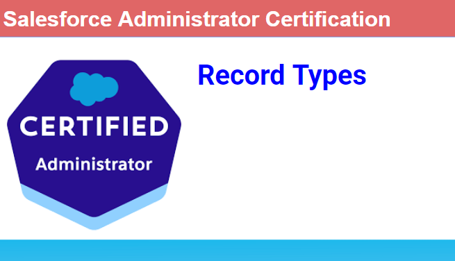 Salesforce : Record Types