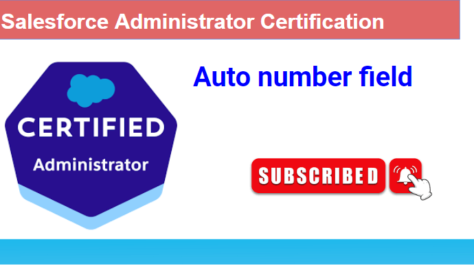Salesforce auto number field