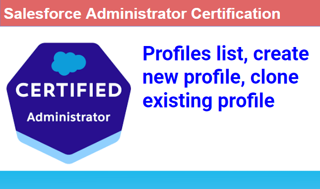 Salesforce Profiles list, create a new profile, clone existing profile