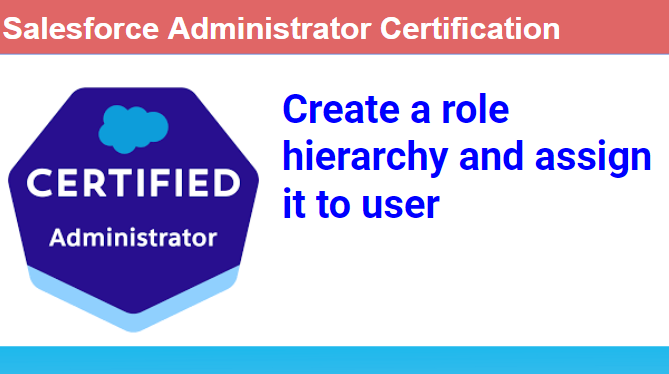 Salesforce create a role hierarchy and assign it to user
