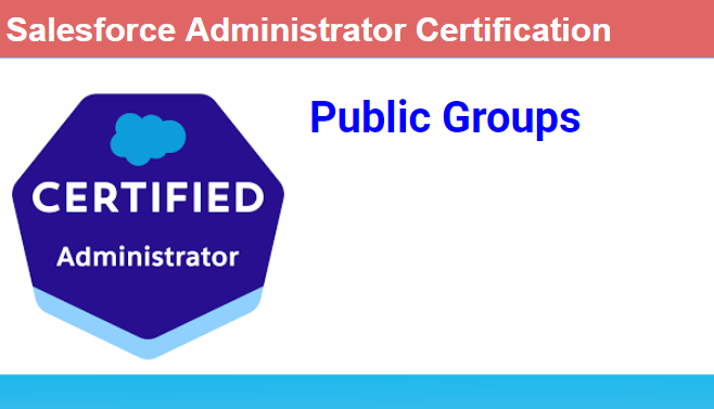 Salesforce Public Groups