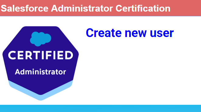 Salesforce Create new user
