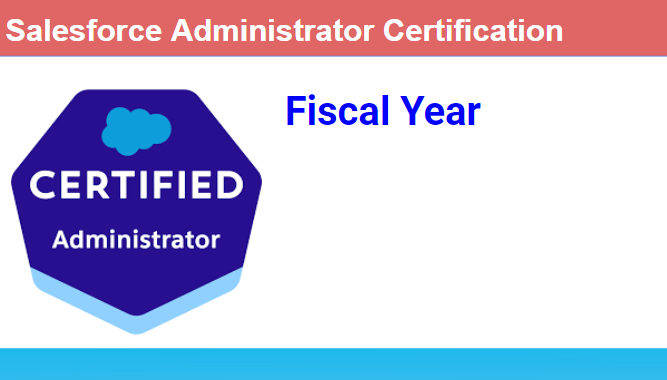 Salesforce Fiscal Year 